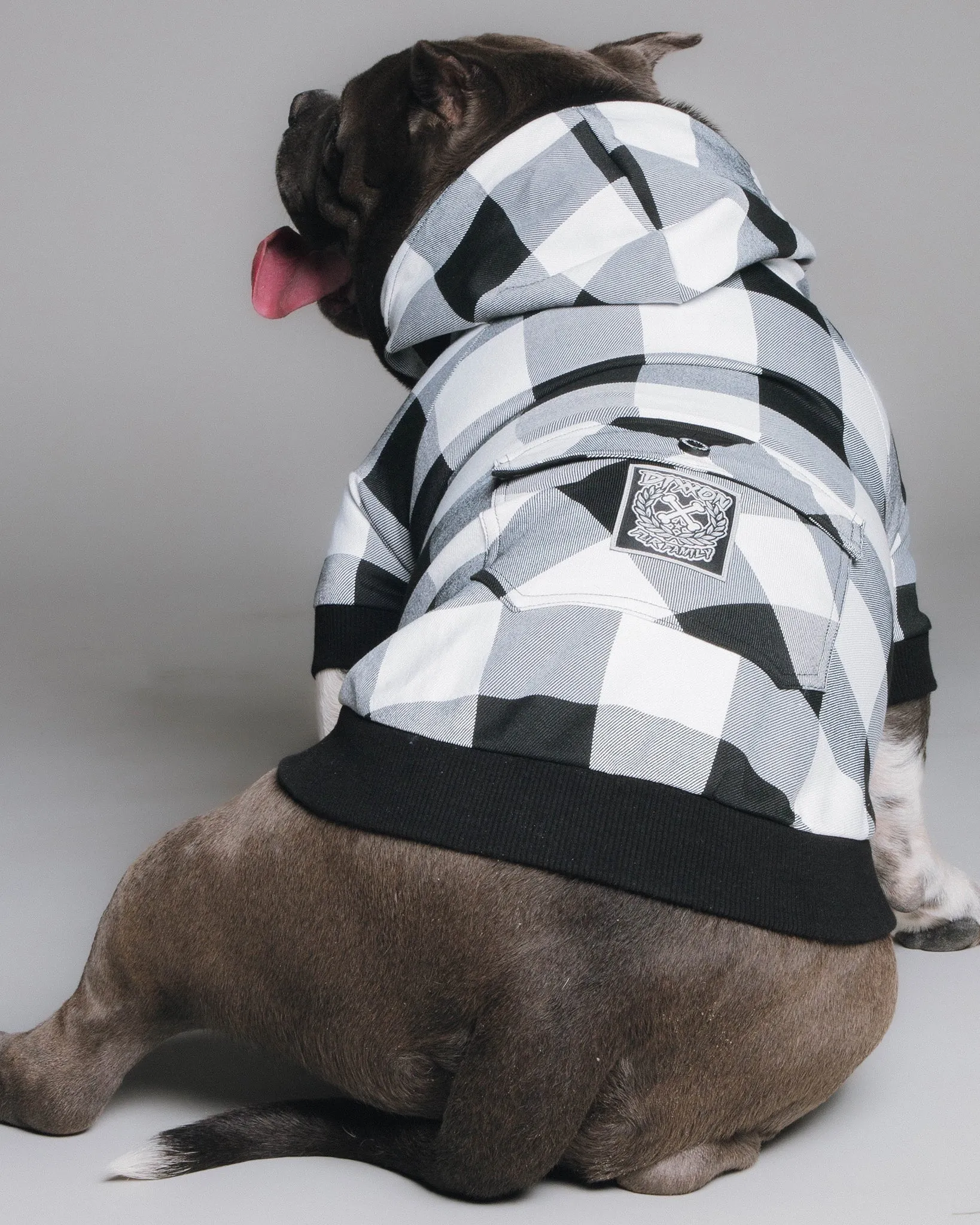 Dog Hoodie - Gringo