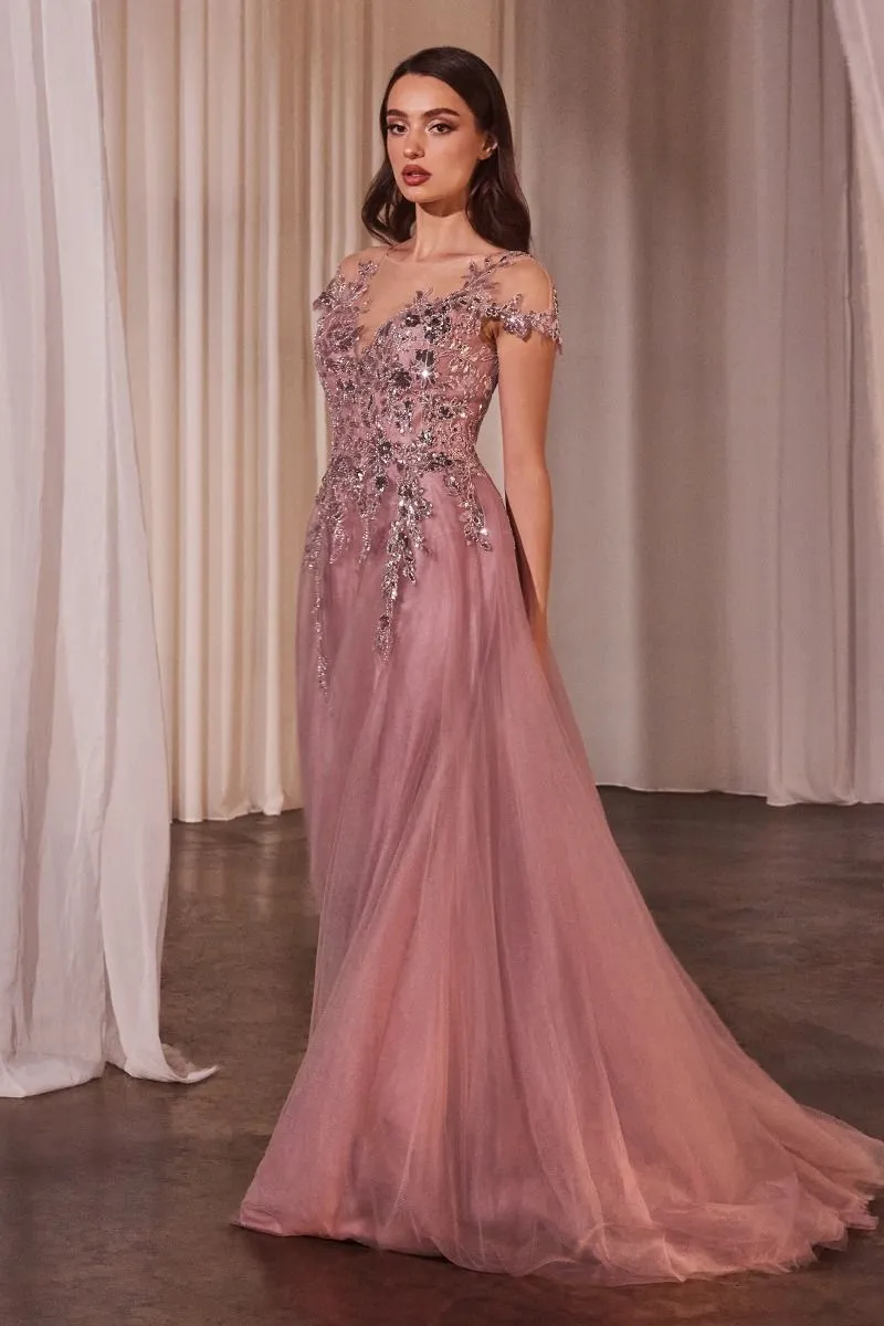 DUSTY ROSE BEADED GOWN CDA1350