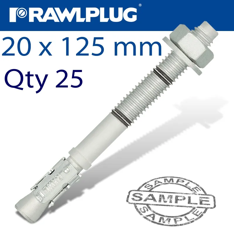 RAWLPLUG THROUGHBOLT 20X125X5MM ZINC FLAKE 25 -BOX RAW R-HPTIIZF-20125-5