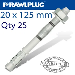 RAWLPLUG THROUGHBOLT 20X125X5MM ZINC FLAKE 25 -BOX RAW R-HPTIIZF-20125-5