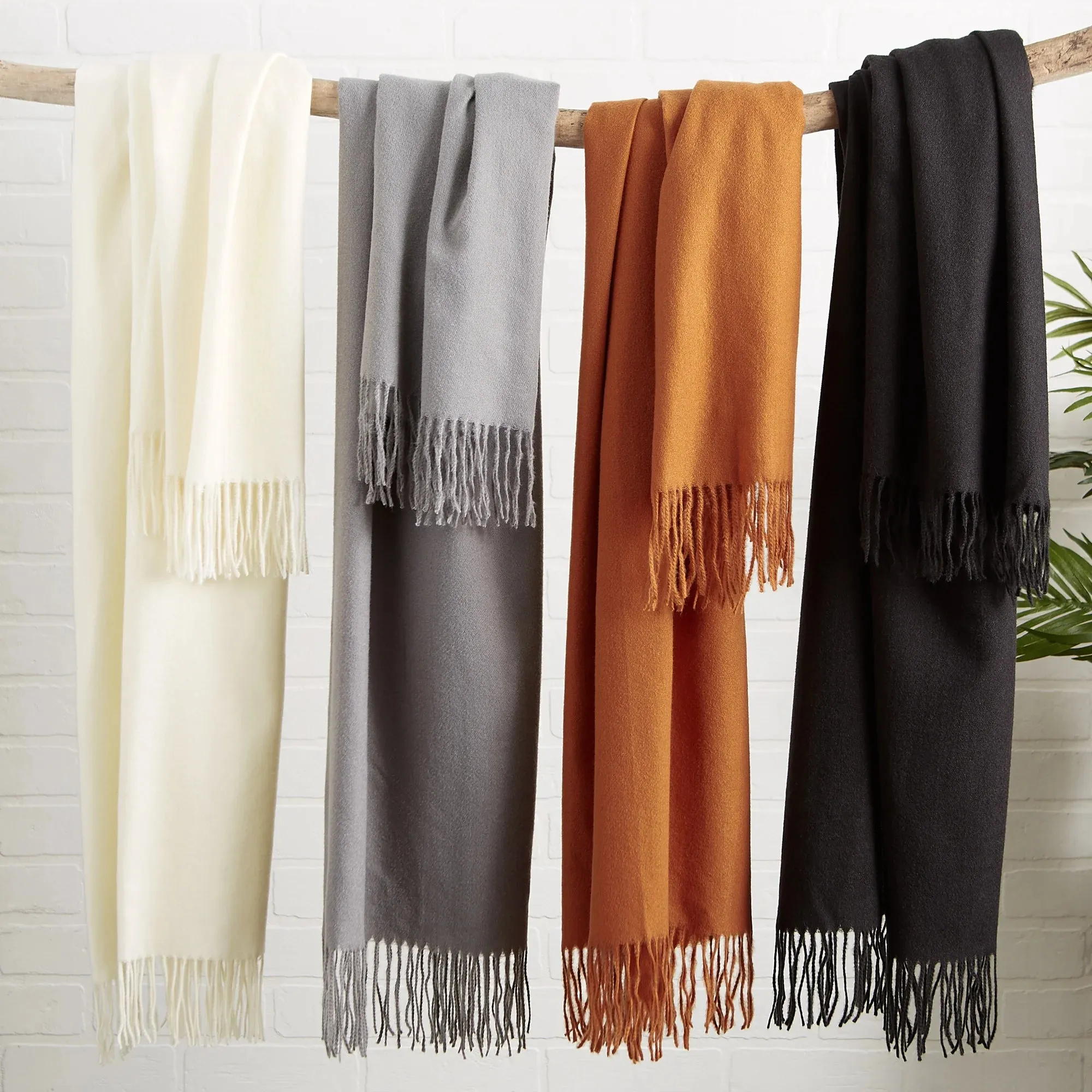 Solid Fringe Scarf